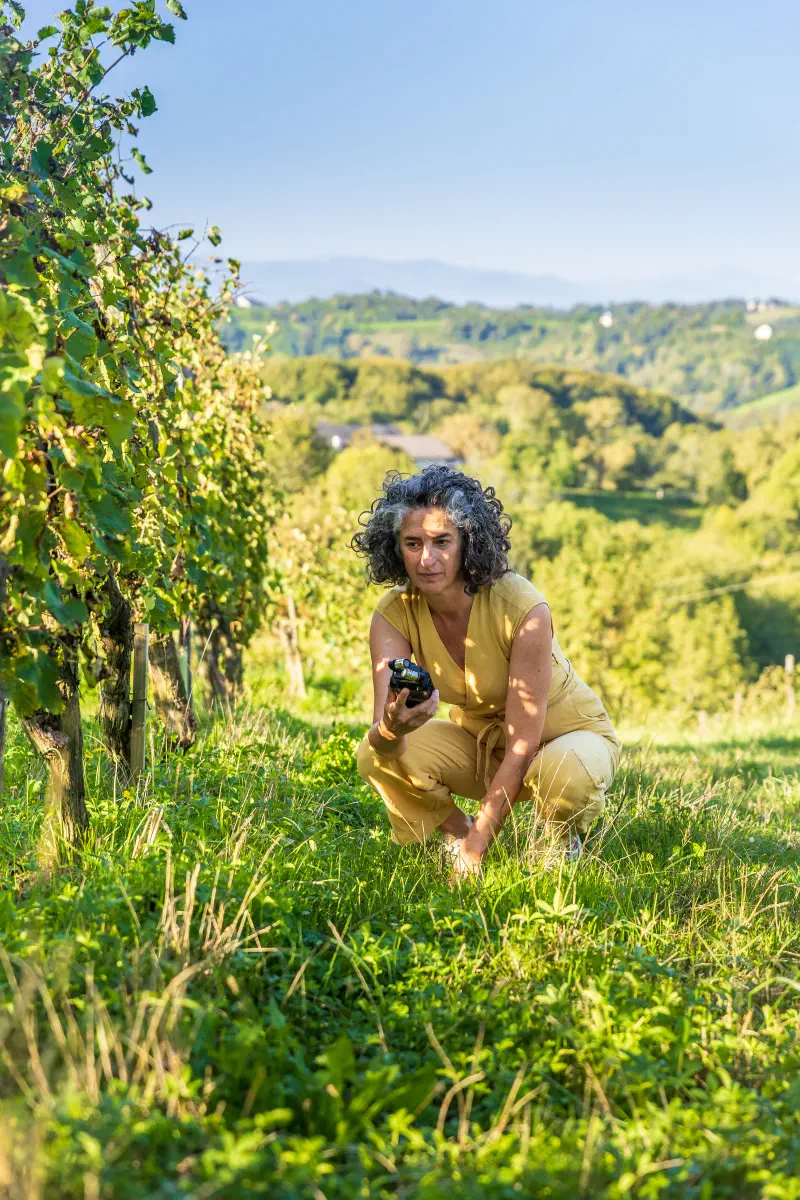 Christine Irabola qui enregistre du son sur les côteaux de Jurançon près de Pau